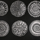 Artwork title: Fossils I