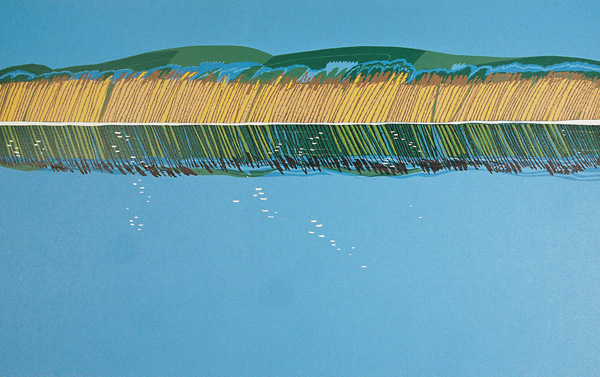 Artwork title: Reedbeds, Dawlish Warren